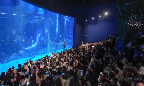 Thủy cung Lotte World Hà Nội: Điểm đến mùa hè lý tưởng cho mọi gia đình