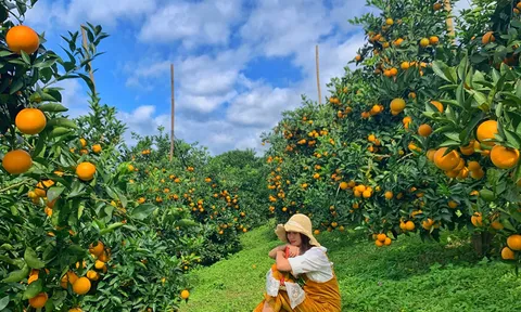 Từ một vụ việc về xuất xứ hàng hóa đến bài toán bảo vệ thương hiệu địa phương