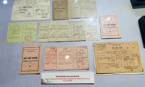 THANH XUÂN GỬI LẠI: HÀNH TRÌNH TRỞ VỀ TỪ NHỮNG KÝ ỨC KHÔNG BAO GIỜ CŨ