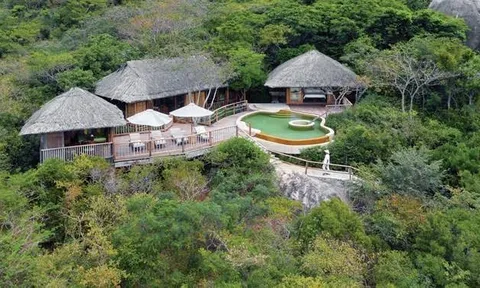 Six Senses Ninh Vân Bay bị phạt 365 triệu đồng vì hàng loạt vi phạm công bố thông tin
