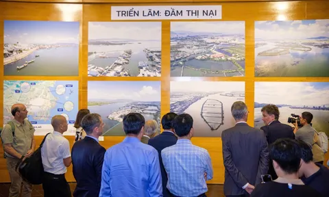 Triển lãm Đầm Thị Nại: Khi khoa học kể chuyện di sản, bảo tồn giá trị điểm đến