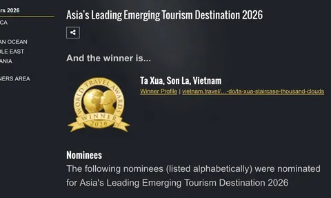 Tà Xùa chính thức được vinh danh “Điểm đến mới nổi hàng đầu châu Á” 2026
