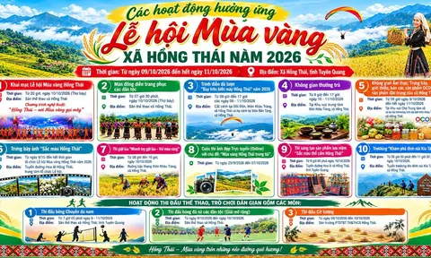 Lễ hội Mùa vàng Hồng Thái 2026: Lên núi săn mây, ngắm ruộng bậc thang và chạm vào sắc màu văn hóa Tuyên Quang