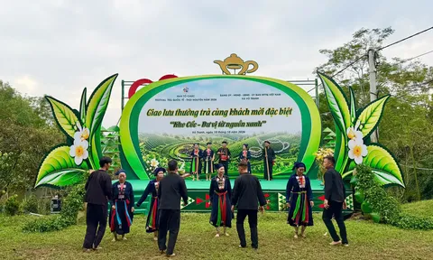 Khe Cốc – Dư vị từ nguồn xanh: Đánh thức tiềm năng du lịch vùng chè Vô Tranh