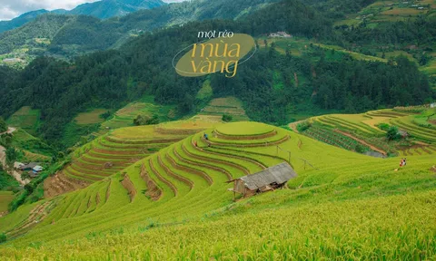 "Hành trình rực rỡ" chinh phục "những chiếc thang leo lên bầu trời" ở đất ngọc Yên Bái