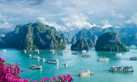 Vịnh Hạ Long lọt Top địa điểm du lịch tốt nhất năm 2024