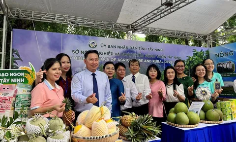 Tây Ninh sẽ đón hơn 5 triệu du khách trong năm 2023
