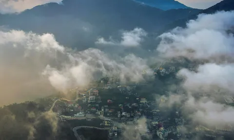 Cẩm nang du lịch Tam Đảo từ A đến Z