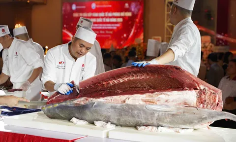 Màn trình diễn xẻ cá ngừ vây xanh 223,9kg gây chú ý tại Hải Phòng