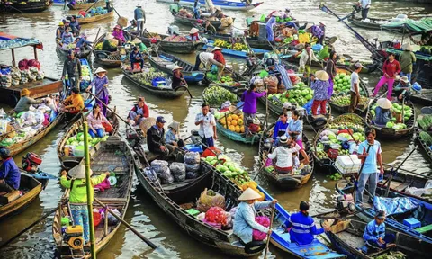 Khám phá vẻ đẹp sông nước miền Tây: Từ chợ nổi Cần Thơ đến đất mũi Cà Mau