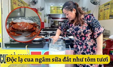 Độc lạ nghề "tắm" sữa tươi cho cua hái ra tiền ở thành phố