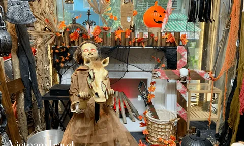 Ấn tượng loạt vật phẩm trang trí Halloween độc lạ vừa "cập bến" tại TP.HCM