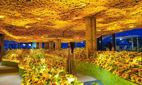 Triển lãm nghệ thuật tương tác đa giác quan Van Gogh Art Lighting Experience chính thức đón công chúng