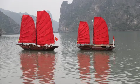 Thuyền buồm màu đỏ trên vịnh Hạ Long trong mắt văn nghệ sĩ