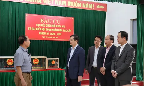Phường Bãi Cháy (Quảng Ninh) triển khai công tác bầu cử cho khách du lịch