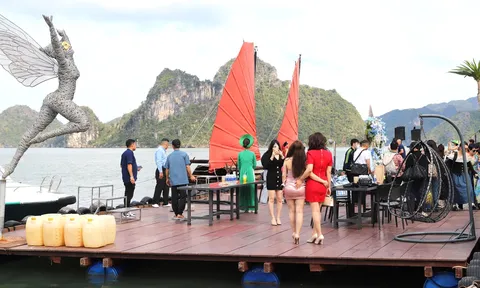 Vịnh Lan Hạ tỏa sáng bức tranh kinh tế nuôi thuỷ sản gắn với du lịch biển