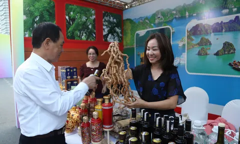 Phố ẩm thực quốc tế-Hạ Long 2026, thêm sản phẩm du lịch bên bờ vịnh Hạ Long