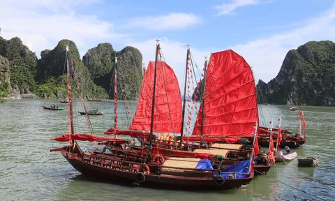 Thuyền buồm sản phẩm du lịch mới trên vịnh Hạ Long, vấn đề mới trong quản lý Di sản