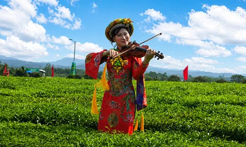 Đường Hoa: Đưa hương trà trở thành sản phẩm du lịch xanh