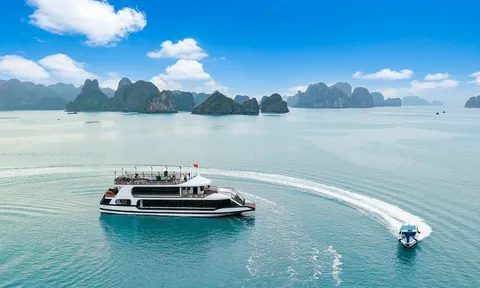 Tàu du lịch Quảng Nam “xông đất” Hạ Long bằng những vị khách quốc tế
