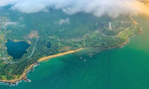 “Báu vật – Treasure”: Khi Sơn Trà hiện lên như một tuyệt tác sống động