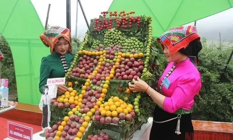 Ngày hội Du lịch Văn hóa tỉnh Sơn La “Điểm đến thiên nhiên khu vực hàng đầu thế giới”