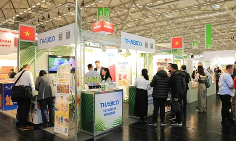 Nông sản Việt khẳng định vị thế trên thị trường quốc tế