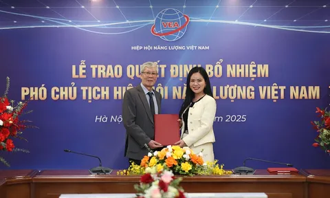 Lãnh đạo T&T Group làm Phó chủ tịch Hiệp hội Năng lượng Việt Nam