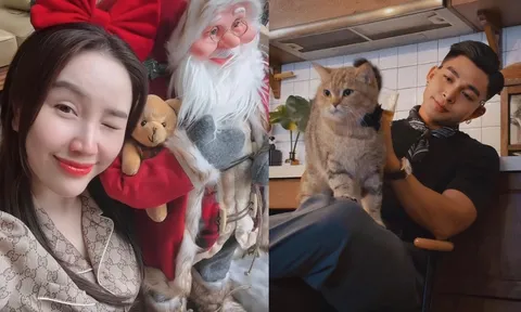 Sao Việt đón Noel: Bảo Thy lên ý tưởng cho cây thông 3m, Jun Phạm mang phong cách Bắc Âu về nhà