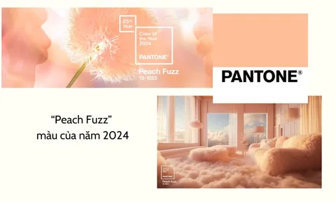 “Màu của năm 2024” nói lên điều gì mà các hãng thời trang lớn theo đuổi