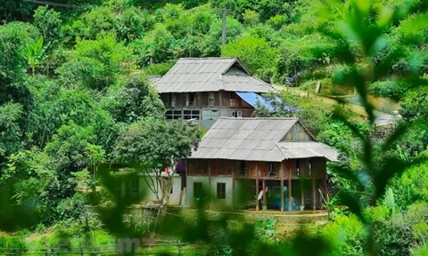 Du lịch xanh không chỉ “tận hưởng” mà còn là “cho đi”