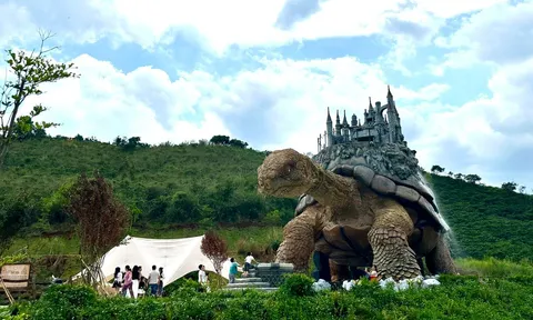 Khám phá Thung lũng các vị thần tại xứ ngàn hoa Đà Lạt