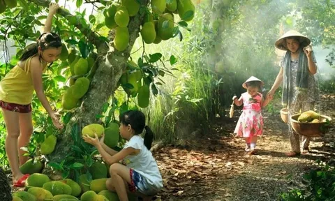 Bình Dương chuẩn bị tổ chức Lễ hội Mùa trái chín 2024 với nhiều hoạt động nổi bật
