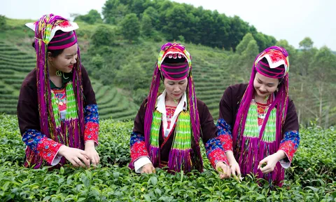 Hải Hà: Nơi hội tụ giá trị văn hóa dân tộc và tiềm năng du lịch bứt phá