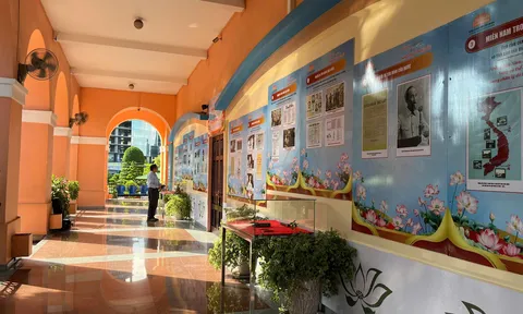 Hạt sen "vẽ" Bác Hồ: Một trong các điểm nhấn xúc động ở triển lãm kỷ niệm 135 năm ngày sinh của Người