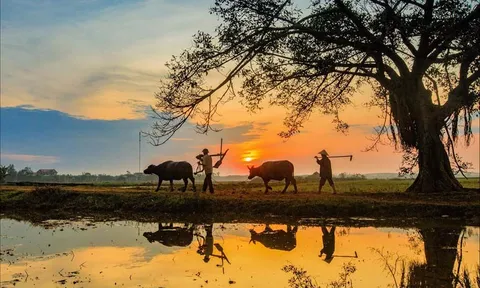 Sức hút Việt Nam: Hai thành phố lớn lọt top những điểm đến tuyệt vời nhất thế giới