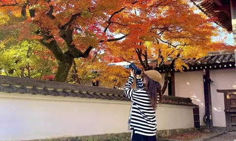 Lạc lối giữa sắc thu cổ kính ở cố đô Kyoto