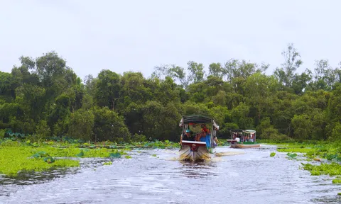 Miếu Bà Chúa Xứ đến Đua bò Bảy Núi: Đề án đánh thức tiềm năng du lịch An Giang mới