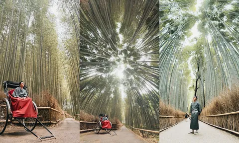 Du Lịch Nhật Bản: Trải nghiệm hoàng gia với dịch vụ xe kéo Arashiyama 5 sao khiến khách hàng 'mê mẩn'
