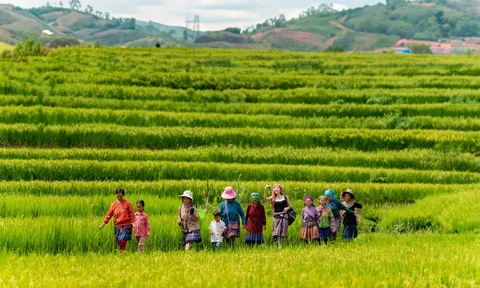 Du lịch Lào Cai sẵn sàng đón khách dịp lễ, Tết 2026