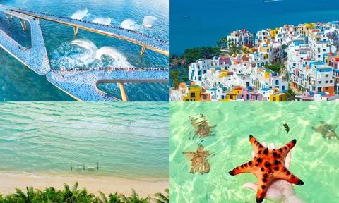 Phú Quốc từ “hiện tượng” đến biểu tượng: Hành trình vươn lên Á quân châu Á 2026