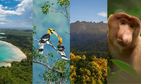 Club Med Borneo: Thêm một lựa chọn nghỉ dưỡng quy mô lớn tại Sabah, Malaysia