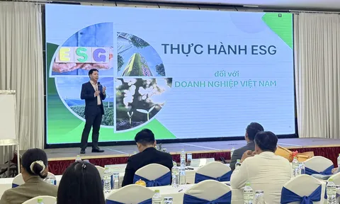 Khách sạn TP.HCM tăng tốc xanh hóa từ những thay đổi nhỏ