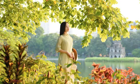 Trải nghiệm mùa Thu Việt Nam: Từ cốm Hà Nội, dã quỳ Đà Lạt, cho đến mùa hoa tam giác mạch Hà Giang...