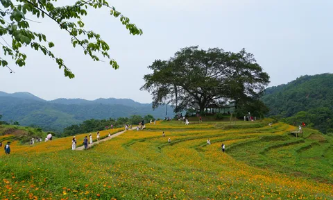 Người gieo "mầm xanh" du lịch trên đỉnh xóm Mừng