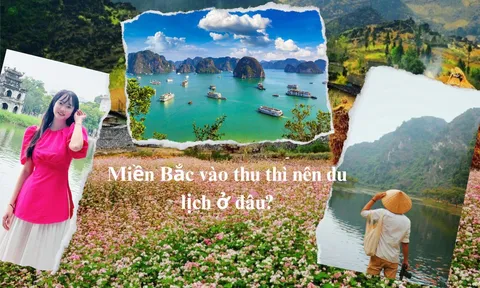 Những điểm đến miền Bắc không thể bỏ lỡ khi đất trời vào thu