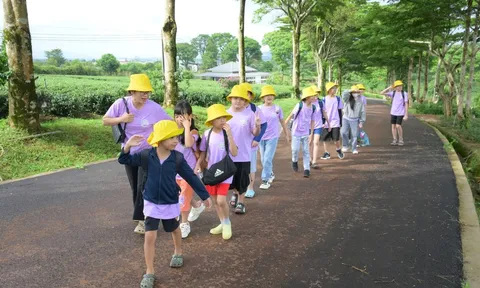 Farmstay nông nghiệp, điểm giao thoa giữa trải nghiệm và nghỉ dưỡng  trong du lịch canh nông Đà Lạt