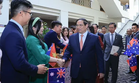 Tự hào thương hiệu Việt vươn tầm mạnh mẽ ở thị trường quốc tế