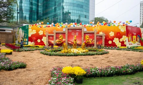 Khu “đất vàng” 12 Lê Duẩn rực rỡ sắc xuân dịp Tết Bính Ngọ