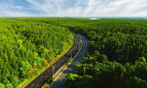 VnExpress Marathon Green Paradise Cần Giờ  - Giải chạy bộ giữa sắc xanh ngút ngàn của Rừng Sác và biển trời Cần Giờ